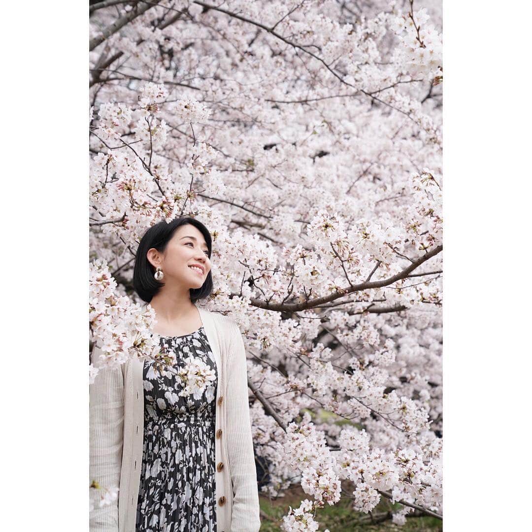 川田希さんのインスタグラム写真 - (川田希Instagram)「🌸🌸🌸 . . . #桜 #さくら #cherryblossom #japan #tokyo #sakura #portrait #photography #写真好きな人と繋がりたい」3月31日 12時42分 - nozomikawata