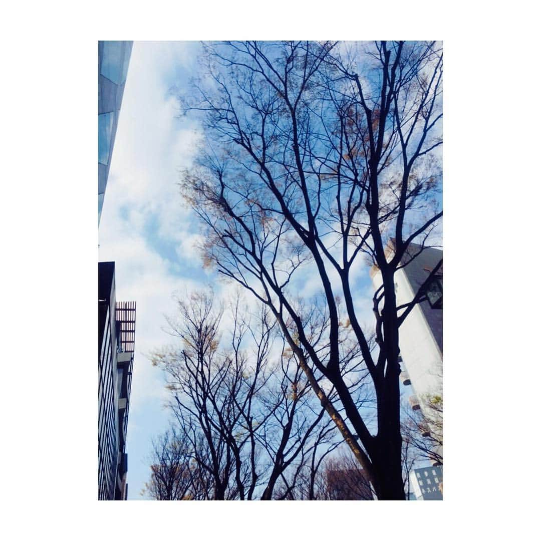 motoさんのインスタグラム写真 - (motoInstagram)「さんぽ。 #表参道」3月31日 13時15分 - moto_ssw