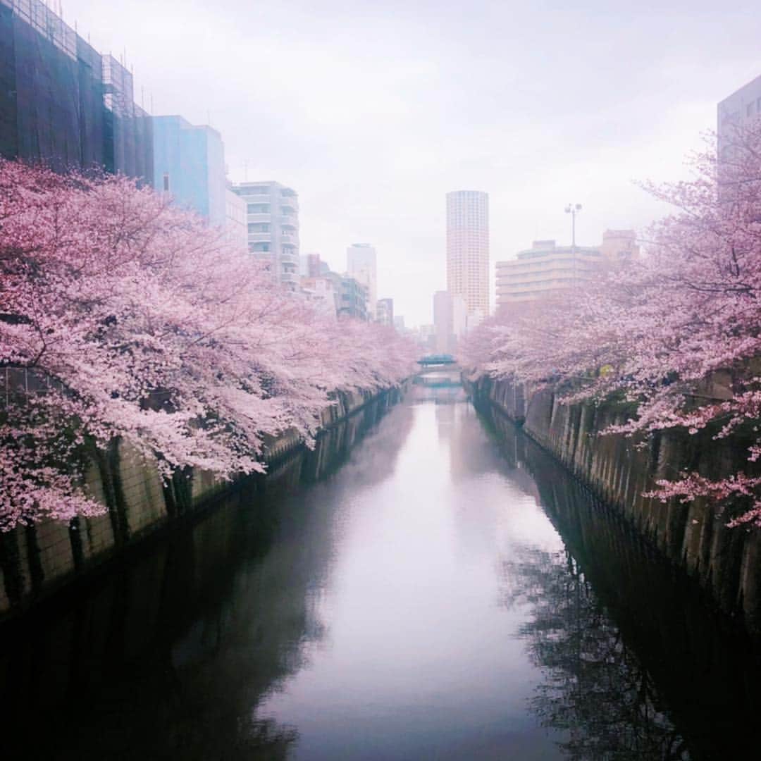 カイヤのインスタグラム