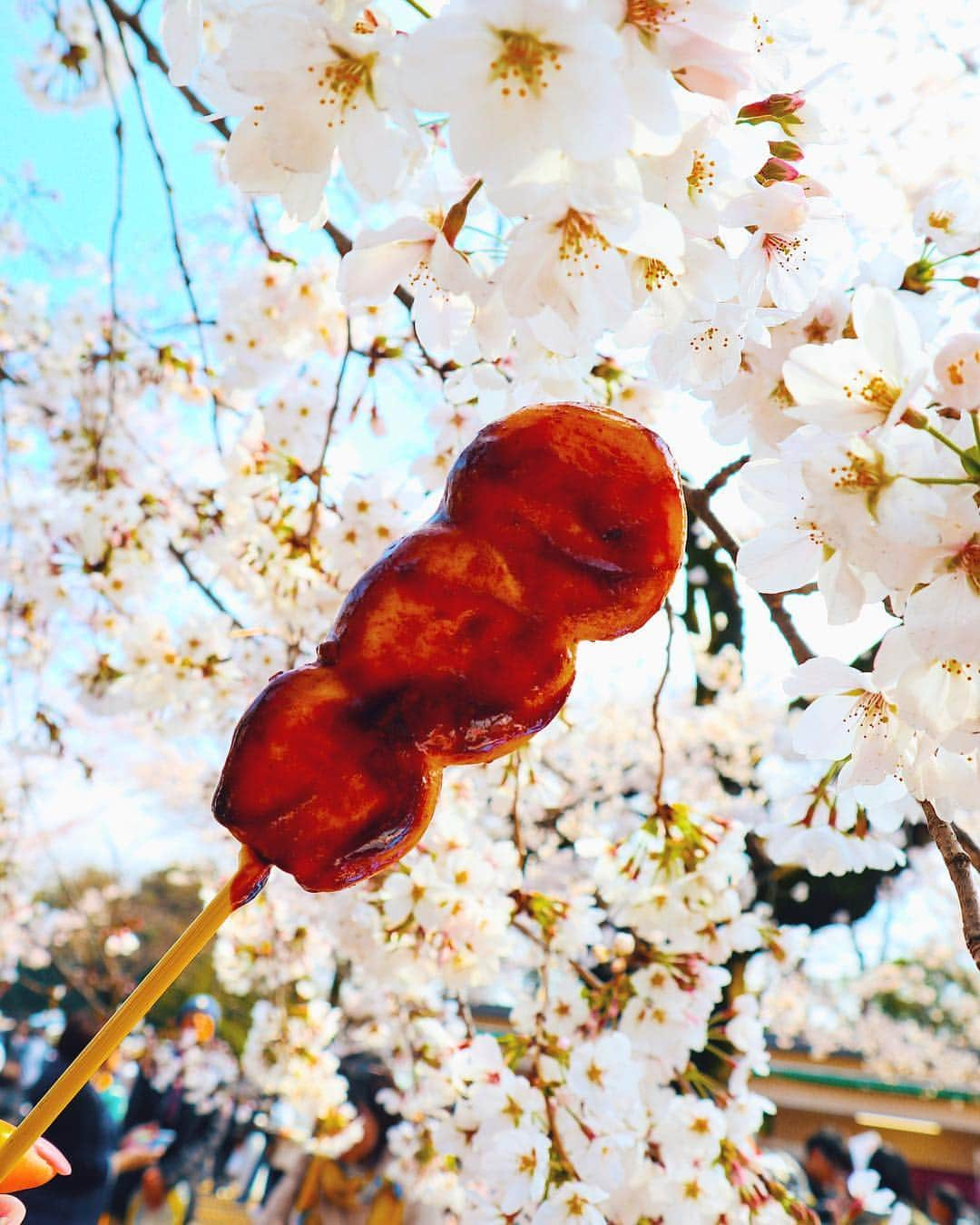 吉田理紗さんのインスタグラム写真 - (吉田理紗Instagram)「小金井公園の桜祭りへ🌸 屋台がたくさん出てて 色んなもの食べられて大満足😍 晴れた日に外で食べるのってなんて美味しいんだろう〜 #桜 #桜祭り #お花見 #お花見コーデ #お花見デート #夫婦 #夫婦デート #小金井公園 #cherryblossom #tokyo #japan #🌸」3月31日 14時10分 - yoshirisaa