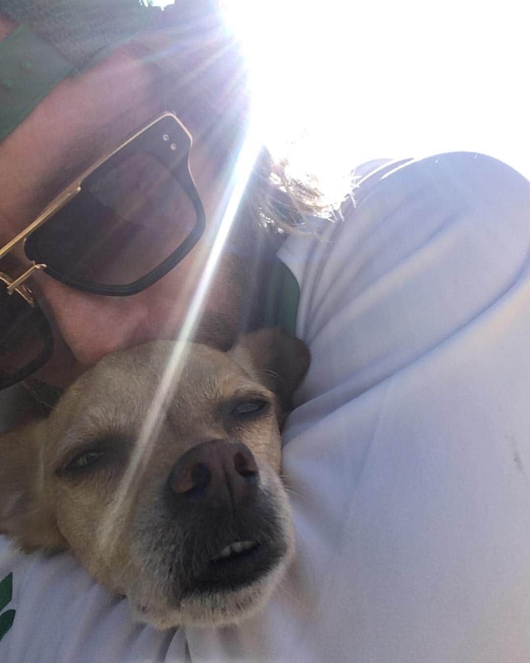 グレッグ・サイプスさんのインスタグラム写真 - (グレッグ・サイプスInstagram)「My Son #DogBlessYou」3月31日 14時25分 - gregcipes
