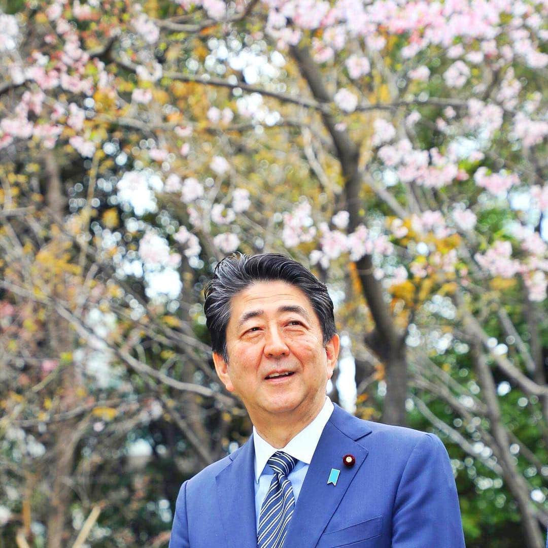 安倍晋三のインスタグラム