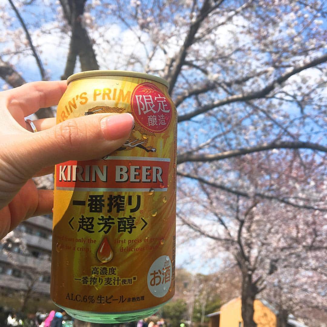 金巻ともこさんのインスタグラム写真 - (金巻ともこInstagram)「花見に来ると2011年の花見を思い出すんだけど、一生そうなのかな。東京のあの花見と4月に宮城に行った時に白石川堤一目千本桜で桜見たのと。しかし花見はいいなあ🌸 #花見  #おでかけ金巻」3月31日 14時48分 - tomotomoco