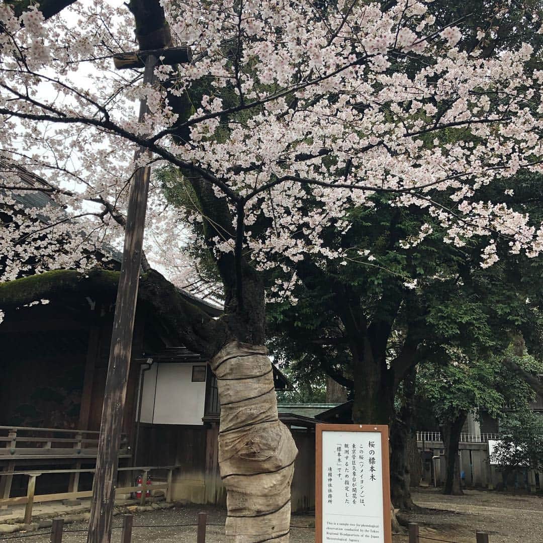 黒田愛美さんのインスタグラム写真 - (黒田愛美Instagram)「久々に早起きして都内ゆるポタお花見ライド🌸🚴‍♀️ いやー朝は寒かった🥶半分くらい走ってようやくあったかくなってきた… 青山墓地→赤坂御所→外堀→靖国神社→皇居→豊洲→辰巳→葛西臨海公園→若洲→桜坂 昨日今日で都内の🌸ほぼほぼ見た気がする😁 total60km🚴‍♀️ 久々バイクだったけどこういうライドはやっぱりいいね❤️ Special thanks toコースをリードしてくれた勝山さん🙏❣️ #お花見ライド #バイク練 #トレーニング #アスリート女医 #トライアスリート女医 #美容アンチエイジング専門医 #黒田愛美」3月31日 14時54分 - kurodaaimi