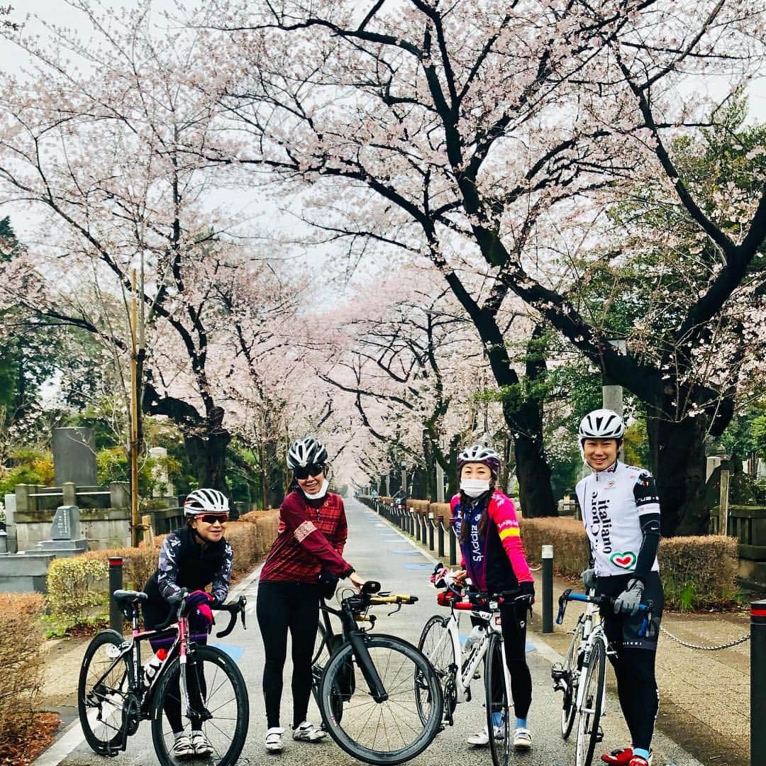 のインスタグラム：「久々に早起きして都内ゆるポタお花見ライド🌸🚴‍♀️ いやー朝は寒かった🥶半分くらい走ってようやくあったかくなってきた… 青山墓地→赤坂御所→外堀→靖国神社→皇居→豊洲→辰巳→葛西臨海公園→若洲→桜坂 昨日今日で都内の🌸ほぼほぼ見た気がする😁 total60km🚴‍♀️ 久々バイクだったけどこういうライドはやっぱりいいね❤️ Special thanks toコースをリードしてくれた勝山さん🙏❣️ #お花見ライド #バイク練 #トレーニング #アスリート女医 #トライアスリート女医 #美容アンチエイジング専門医 #黒田愛美」