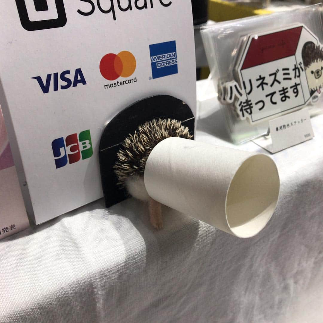 オカダヤ新宿本店コンシェルジュさんのインスタグラム写真 - (オカダヤ新宿本店コンシェルジュInstagram)「. 【minneのハンドメイドマーケットに行ってきました】その2 . 昨年オカダヤで開催したminneとのコラボワークショップイベント「ハンドメイドデイズ」でハリネズミのワークショップをして下さったyucoco cafe（ @yucococafe ） さんにもお会いすることができました♫ . 肩にご自身で作られたハリネズミがちょこんと乗っていて、とっても癒されるブースでした✳︎ . 30日のみのご参加だったので、お会いできてよかった！ . ハンドメイドマーケットは本日18時まで。 埼玉スーパーアリーナで開催中です。 . #yucococafe #ハリネズミ #ハリネズミのいる暮らし  #羊毛フェルト #ハンドメイド #minne  #minneのハンドメイドマーケット #minneのハンドメイドマーケット2019 #新宿オカダヤ #オカダヤ #okadayashinjuku #handmade」3月31日 14時54分 - shinjuku_okadaya