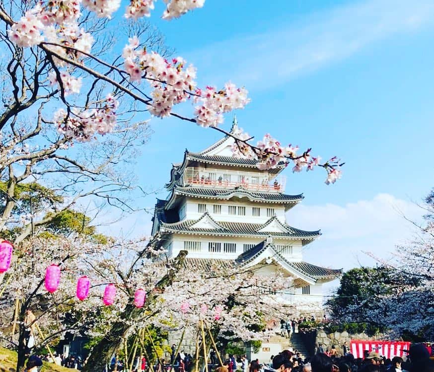 のインスタグラム：「プラリと。来て良かった🌸 Viewing beautiful cherry blossom!!! #海保知里 #花見 #Hanami #castle」