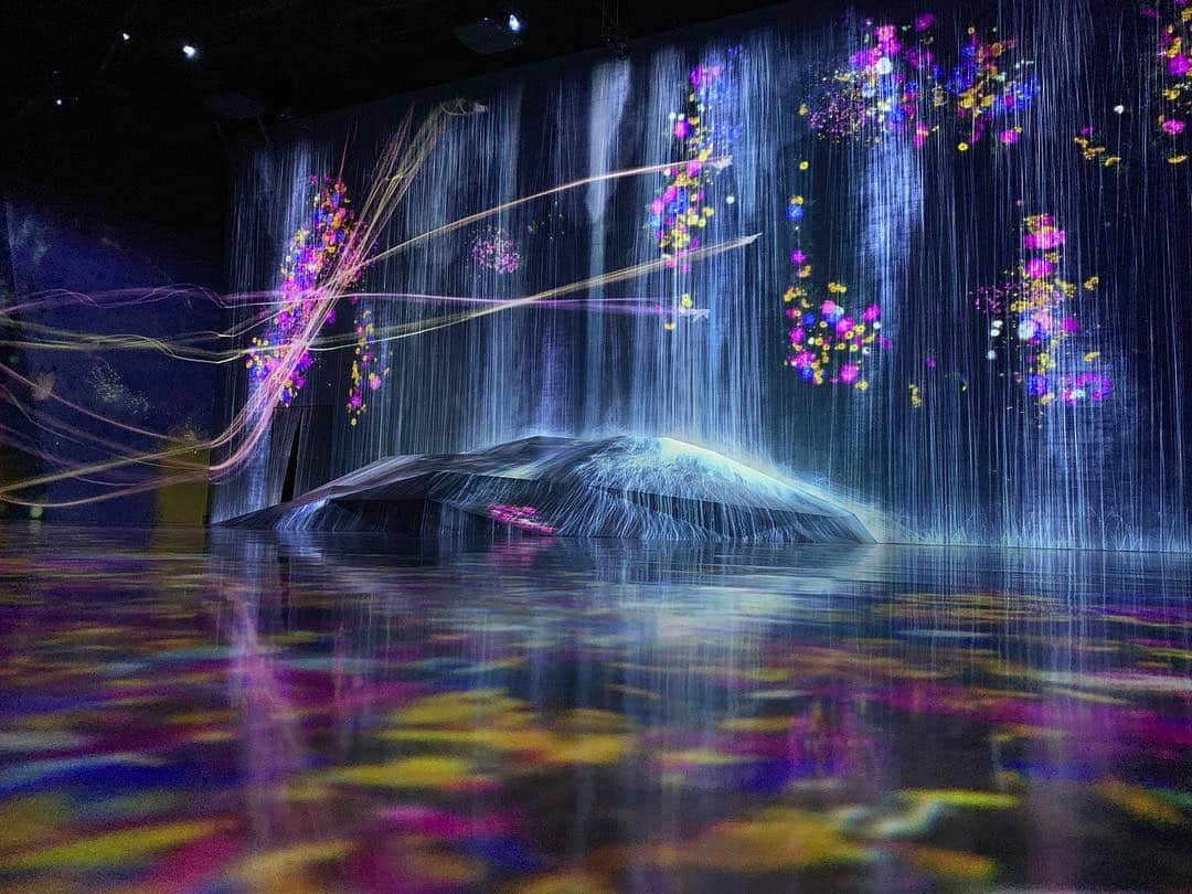 カーラ・デルヴィーニュさんのインスタグラム写真 - (カーラ・デルヴィーニュInstagram)「💥Mind Blown💥Thank you so much @teamlab_borderless @teamlab_news #teamlab #teamlabborderless 💥」3月31日 15時41分 - caradelevingne