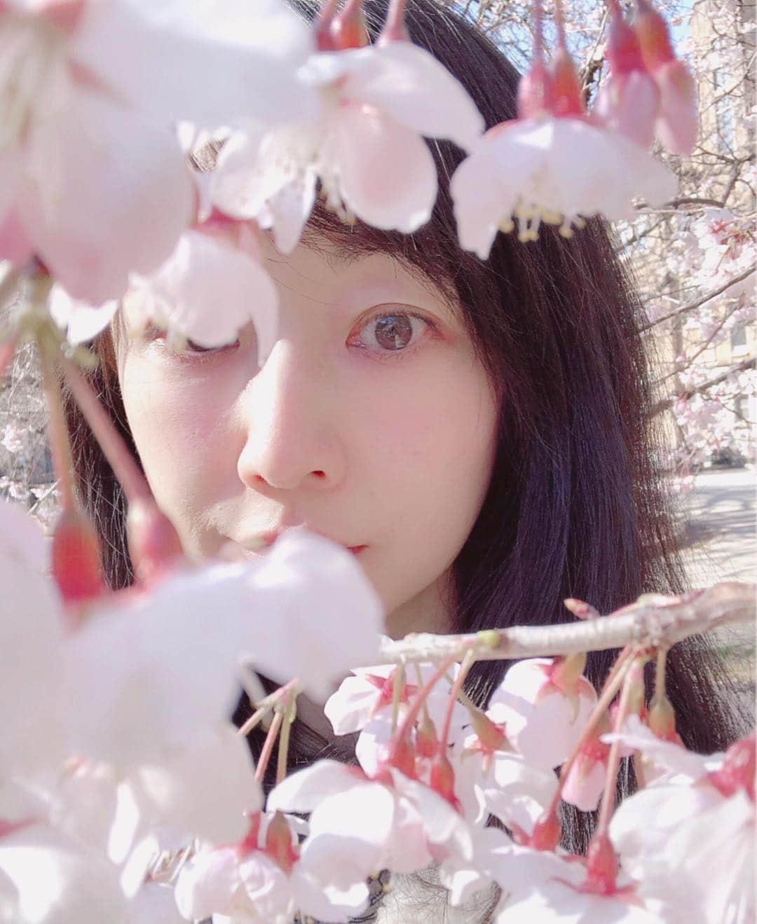 理絵さんのインスタグラム写真 - (理絵Instagram)「💗🌸💗 .  #桜 #sakura #cherryblossom #cherryblossoms #ciliegio #cerisier #벚꽃 #flower #flowers #fiore #꽃 #花 #model #actress #modella #attrice #모델 #여배우 #tokyo #japan」3月31日 15時02分 - ____rie____
