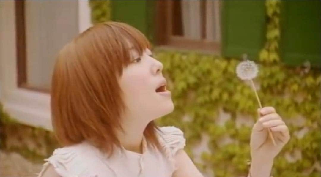 のインスタグラム：「. . 「Voyagers」「スマイル スマイル」  13年間 本当にありがとうございました  この曲たちをみんなに 愛してもらったおかげで とってもしあわせでした  サックス 父 平原まこと バージョンも みんなに喜んでもらいました  今日で聴き納めです  ダーウィンが大好きです  #平原綾香 #ayakahirahara  #ダーウィンが来た」