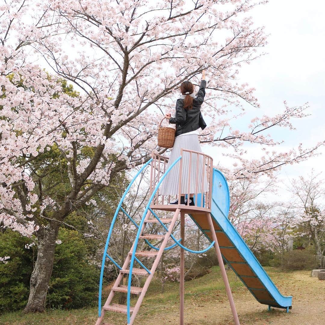 yupinokoさんのインスタグラム写真 - (yupinokoInstagram)「こんばんは☺︎ . . あちらこちらで桜が満開🌸 きれいですね〜☺️ 今日は須恵に用事があったのですが、 ドライブがてら山手の方から遠回りして 桜景色を楽しみました〜🚙♫ . 娘と双子コーデとか憧れるんですが 全力で拒否られるのわかっているので シレっと同色コーデで自己満足🤣 . 帰りにずっと気になってた 篠栗の吉田屋でごはん🍴 古民家風なのではなく、 古さを活かした本物の古民家で めっちゃ素敵な雰囲気♡ 天ぷら定食と白玉ぜんざい おいしかったー😋 . そして早くもまた新しい家族が。 雪うさぎのように白くて目が赤いので この子の名前は小雪ちゃんにしました🕊 まだ小さくてとても繊細な子です。 . . #インテリア #interior #DIY #セルフリノベーション  #ヴィンテージスタイル #キッチン #DIYのある暮らし #お出かけ記録 #お花見 #ドライブ #ドゥーズィエムクラス #deuxiemeclasse #JANEバスケット #menui #ungrid」3月31日 20時57分 - yupinoko