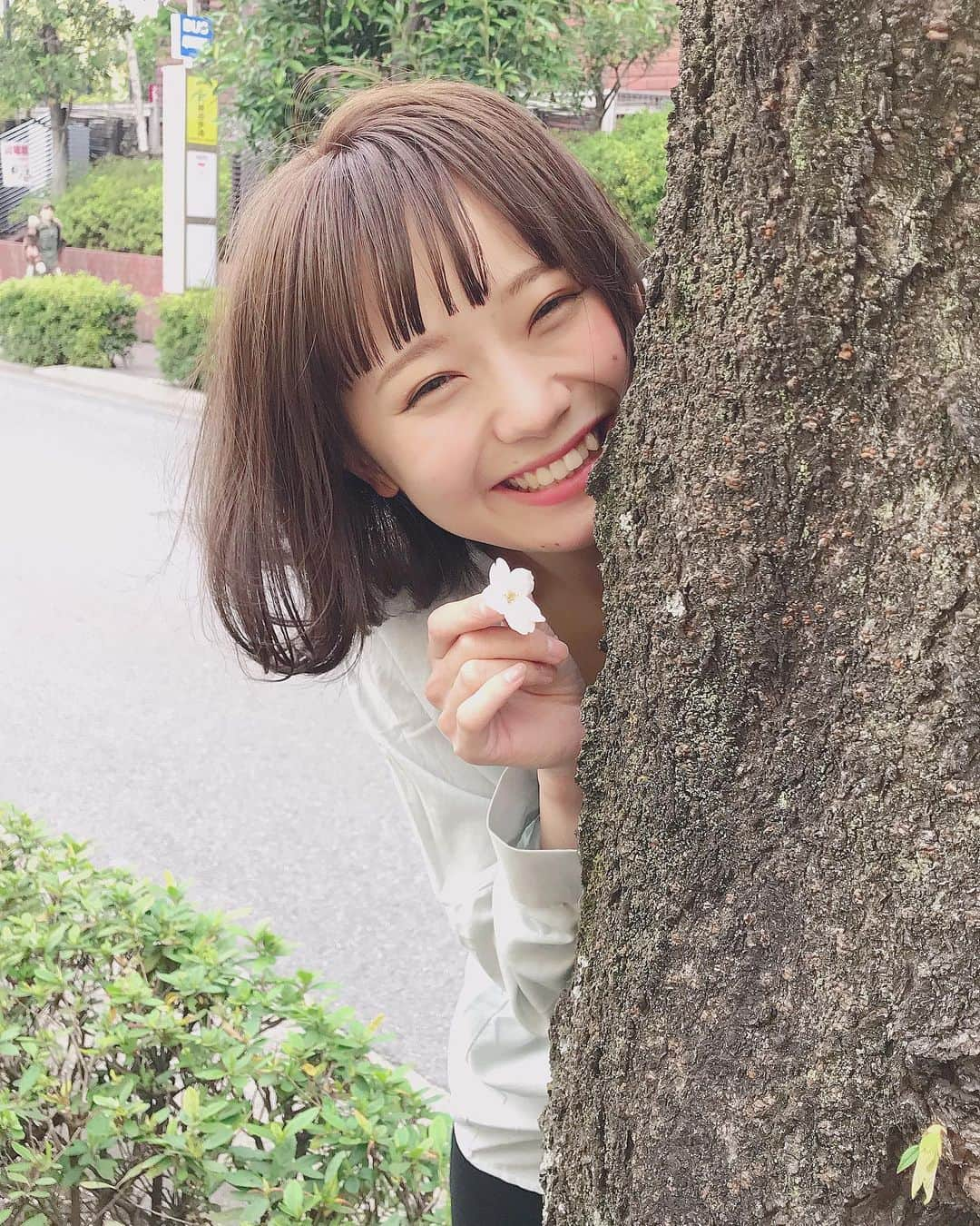 前田渉さんのインスタグラム写真 - (前田渉Instagram)「. . 明後日はcache cacheみんなでお花見🌸🌸🌸 . . . ※写真の桜は撮影用に用意したレプリカです🙇🏼‍♂️ model:ななまる #わたるマジック #わたるフィルター  #hairstyle #hair #cachecache  #cachecacheOmotesando #make #haircolor #sweet #bob #美容師 #パーマ #ミルクティーカラー #ミルクティーアッシュ #ボブ #おフェロ #ショートヘア #グレージュ #透明感 #表参道 #わたボブ #シースルーバング #美容室 #シースルーパッツン #カシュモ #ロイヤルミルクティーカラー #桜 #クリーミーココア #巻き方 #🌸」3月31日 20時54分 - cachetaro