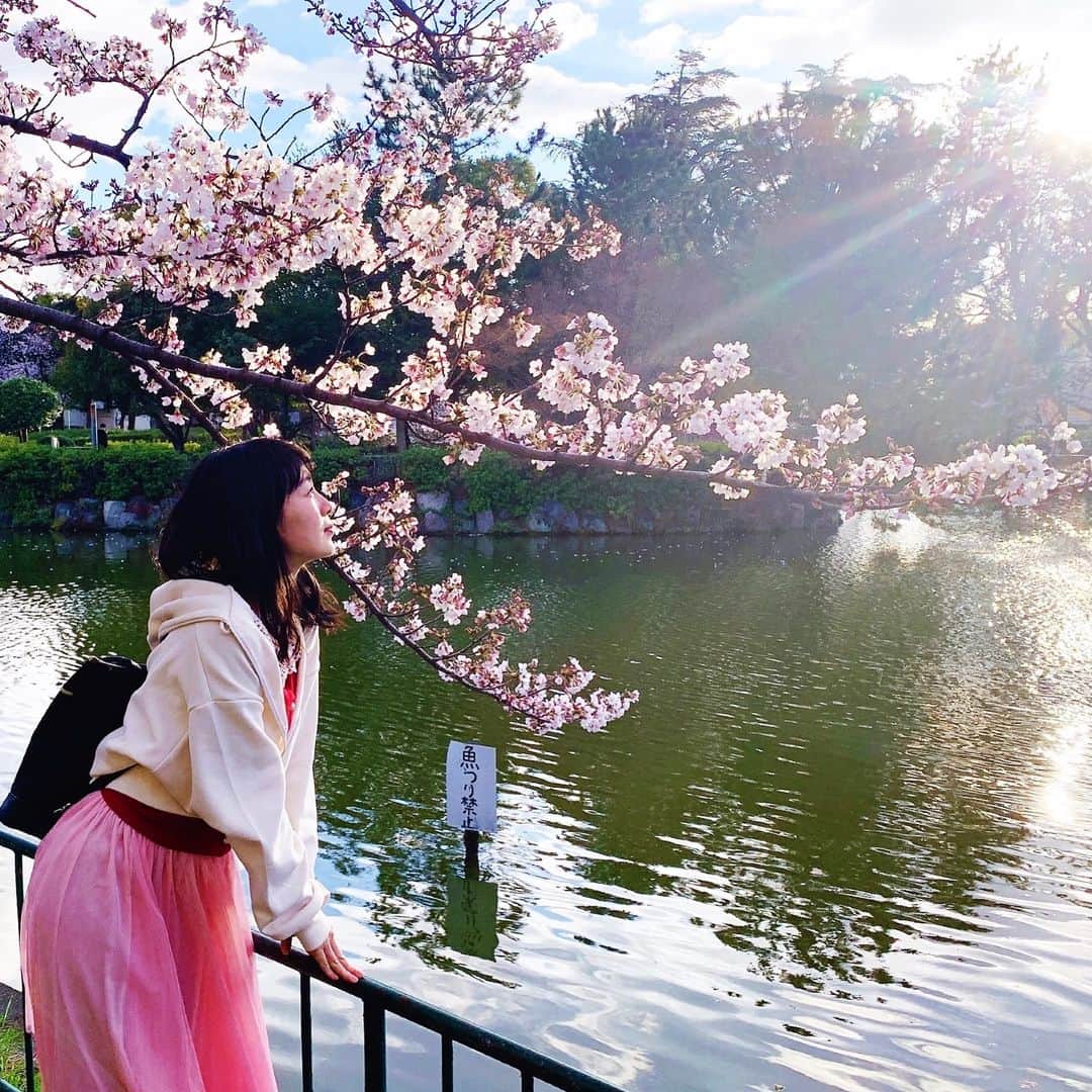 七海ななさんのインスタグラム写真 - (七海ななInstagram)「桜っていいなぁ〜。 日本酒クイっと呑みたくなっちゃう。  #七海なな #名古屋アミューズ撮影会」3月31日 20時54分 - nana_nanaumi