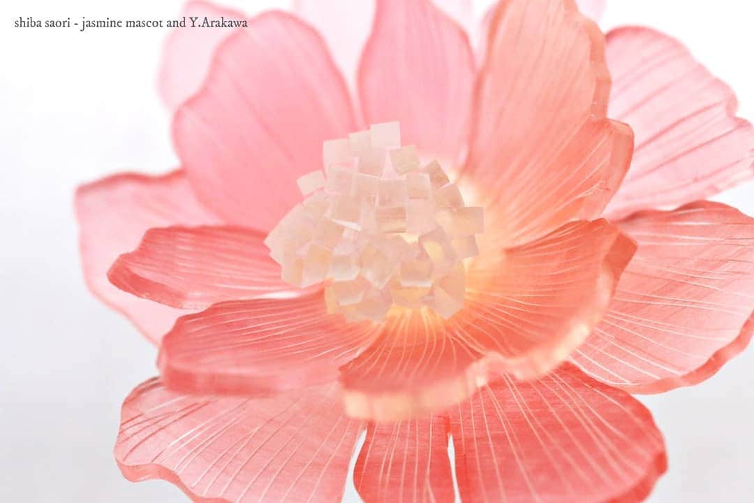 しば　さおりさんのインスタグラム写真 - (しば　さおりInstagram)「暖かい色合いの芍薬🌸耳飾りになる予定です。母の日のギフトにも素敵だと思います(*^^*) . 4月上旬、都内の百貨店にて販売予定です。情報解禁は4/2頃。気にかけて頂けたら嬉しいです。 . #母の日 #ありがとう #芍薬 #東京 #渋谷 . #立体プラバン #プラバン  #プラ板 #アクセサリー #ハンドメイド #アート #癒し #かわいい #シンプル #手作り #花 #ザ花部 #花のある暮らし #ナチュラル #和菓子 #熱縮片 #shrinkplastic  #IGersJP #handmade #flower #instagram #instagood #instaart #デザイン」3月31日 20時55分 - koshiba0822
