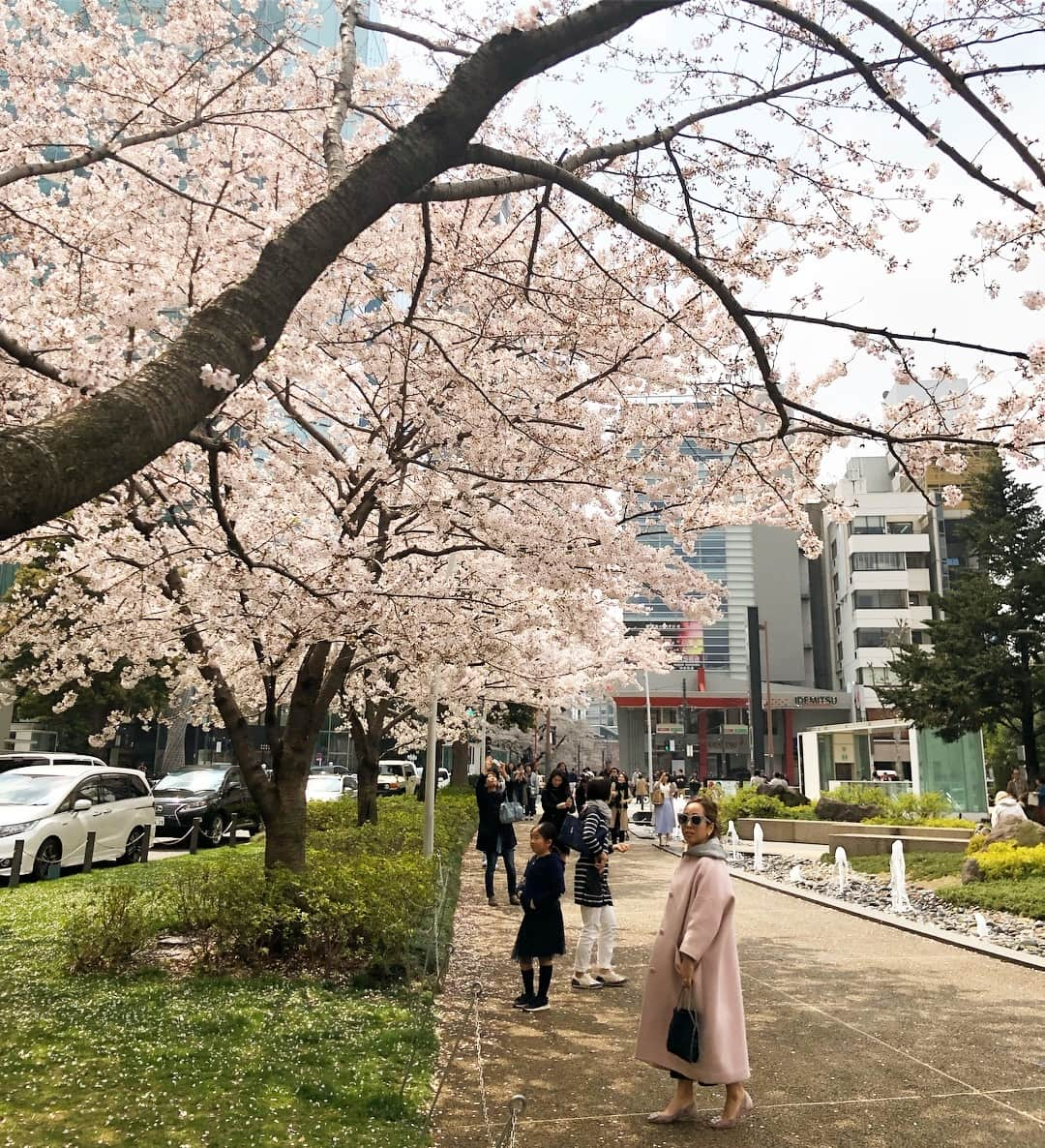 伊藤羽仁衣さんのインスタグラム写真 - (伊藤羽仁衣Instagram)「平成最後の桜🌸🌸🌸 #cherryblossom  #桜 #平成最後  #hanyito」3月31日 15時27分 - hanyito