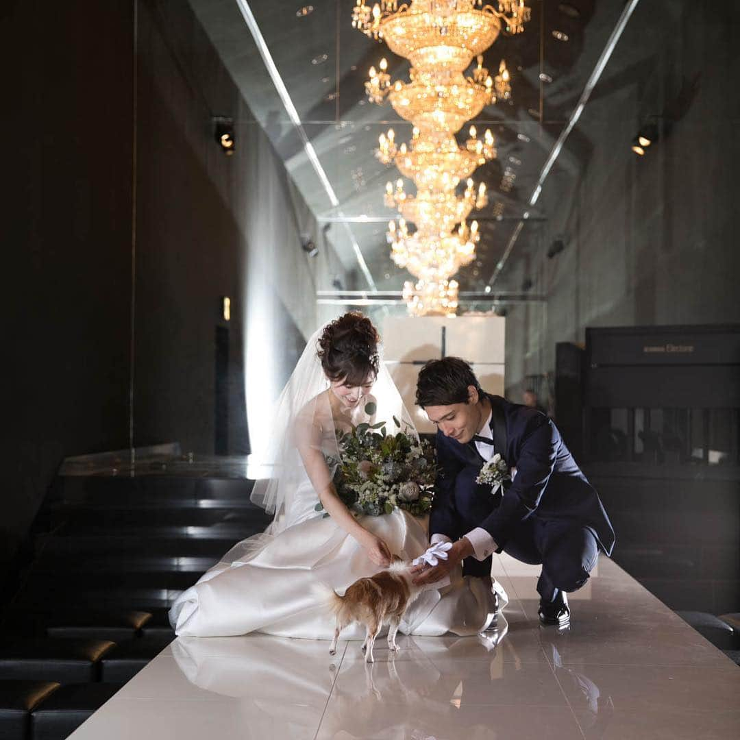 ホテル イル・パラッツォ（Small Laxury Weddさんのインスタグラム写真 - (ホテル イル・パラッツォ（Small Laxury WeddInstagram)「ランウェイスタイルのチャペルは、イルパラのウエディングを象徴する存在。愛犬家なら誰もが憧れるリングドッグも想像を超える美しさで実現出来る。#ilpalazzo #wedding #hotel #ウェディング #結婚式 #ウェディングレポ #ウェディング小物 #ウェディングフォト #フォトスポット #プレ花嫁 #日本中のプレ花嫁さんと繋がりたい #日本中の花嫁さんと繋がりたい #プレ花嫁準備 #プレ花嫁デビュー #japan #福岡 #前撮り #後撮り #結婚準備 #花嫁 #ブライダル #ナイトウェディング #卒花嫁 #ドレス迷子 #婚礼 #결혼식 #일본」3月31日 16時24分 - true_wedding