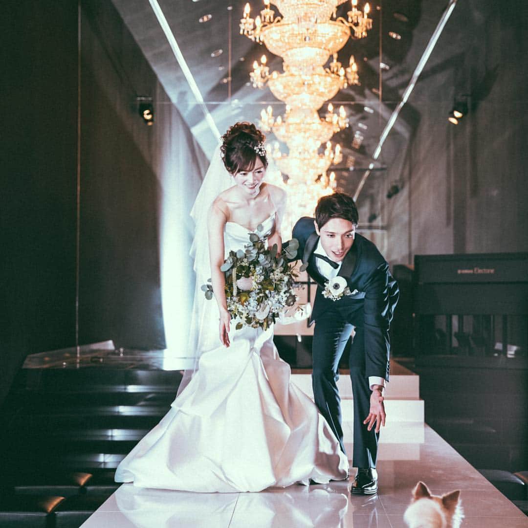 ホテル イル・パラッツォ（Small Laxury Weddのグルメインスタ