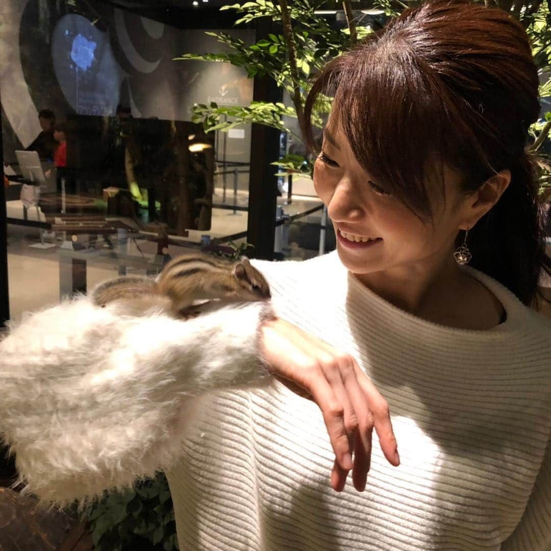 遠近由美子さんのインスタグラム写真 - (遠近由美子Instagram)「沢山のお誕生日のお祝いメッセージ、ありがとうございます🥰  今年も数日かけて、ひとつひとつ読ませて頂いています。  誕生日 当日は、吉岡里帆ちゃんと、ヒカキンさんと、お仕事でした😊😊 #記者発表会 #吉岡里帆 #ヒカキン #オービィ横浜 #新コンテンツ  #横浜で #hawaii 体験  #リスと遊べる #アニマルヴィレッジ  #子供喜ぶね #双子連れてまた来よう」3月31日 16時29分 - yumiko_tochika