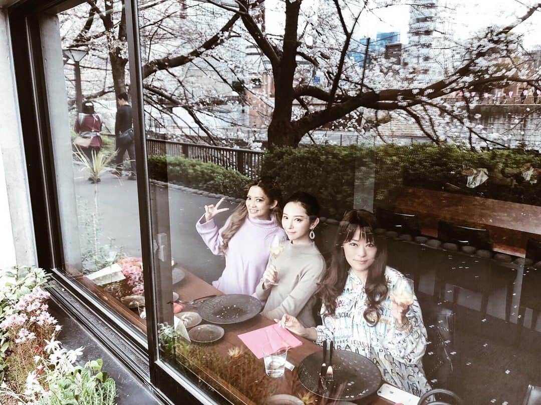 山崎みどりのグルメインスタ