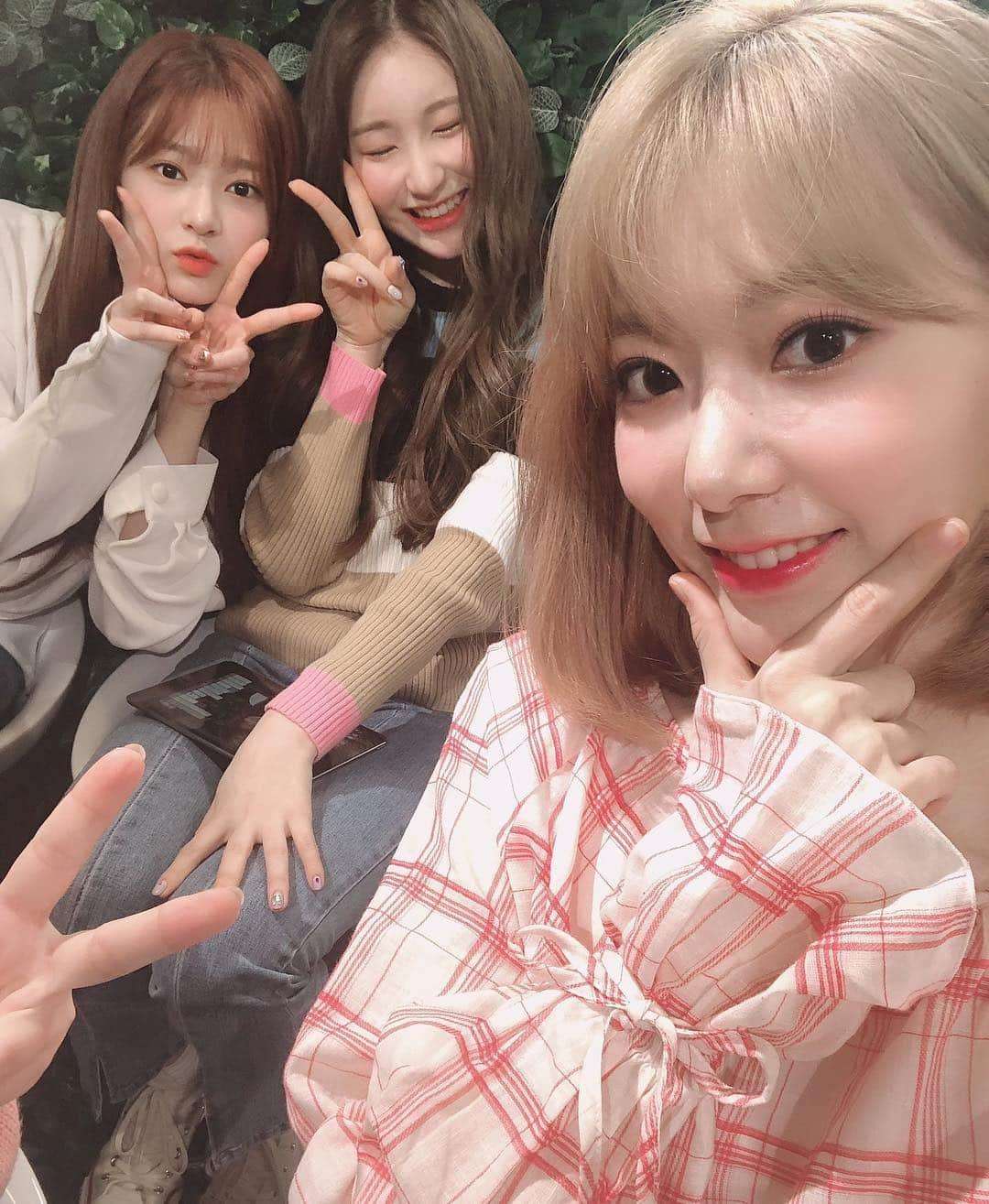 h3artbrak3rsさんのインスタグラム写真 - (h3artbrak3rsInstagram)「… #hkt48 #IZONE #아이즈원 #アイズワン  #sakura #宮脇咲良 #미야와키사쿠라 #さくら #chaeyeon #이채연 #チェヨン #minju #김민주 #ミンジュ #TwitterBlueroom」3月31日 16時37分 - h3artbrak3rs