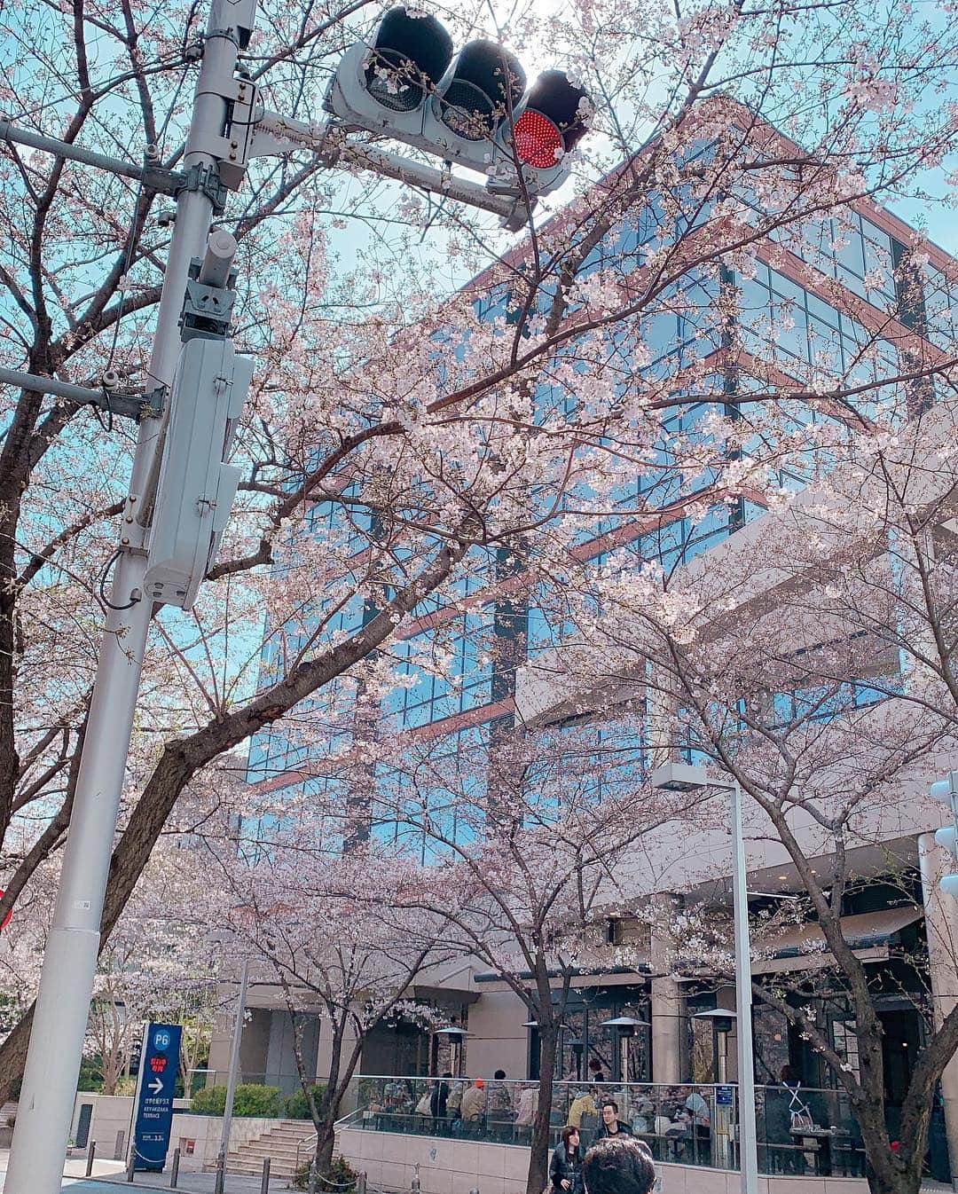 高原愛さんのインスタグラム写真 - (高原愛Instagram)「桜が綺麗な季節🌸桜は日本ならではの魅力☺️🇯🇵 #cherryblossom#spring#tokyo#japan#桜#🌸」3月31日 16時48分 - ai_takahara_ai