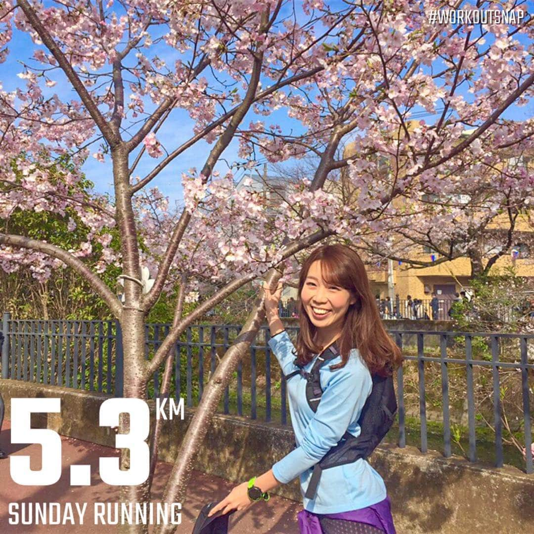 中橋舞さんのインスタグラム写真 - (中橋舞Instagram)「お花見date run🏃‍♂️🏃‍♀️💨 #夫婦ラン 桜満開🌸の横浜！ . . 横浜の桜の名所の一つ、大岡川沿いをランニングにお出かけ♪ と思ったらすごい人😵で、結局桜沿いはwalkに🌸 . . 今日もwalk中、"デートだね❤️"って、手を繋いだら絶賛振り払われましたw #めげない ！！ そんな一方通行な夫婦です。 それでも楽しい夫婦ランだった😊 . . #ランニング #ランニング女子 #run #runner #pumarunning #トレーニング女子 #training  #ダイエット #ダイエッター #diet  #走るのが好き #走っている人と繋がりたい  #ランニングウェア #puma #pumawear  #まいrun #横浜ランナー #走るひと #ハシリマシタグラム #instarun  #runlife #runforfun  #我是跑者 #nicerun  #桜 #cherryblossom」3月31日 16時50分 - mai_nakahashi