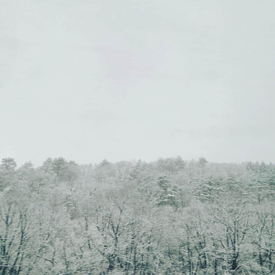 都竹悦子さんのインスタグラム写真 - (都竹悦子Instagram)「雪。冬。  #2019年3月31日」3月31日 17時10分 - etsukotsuzuku