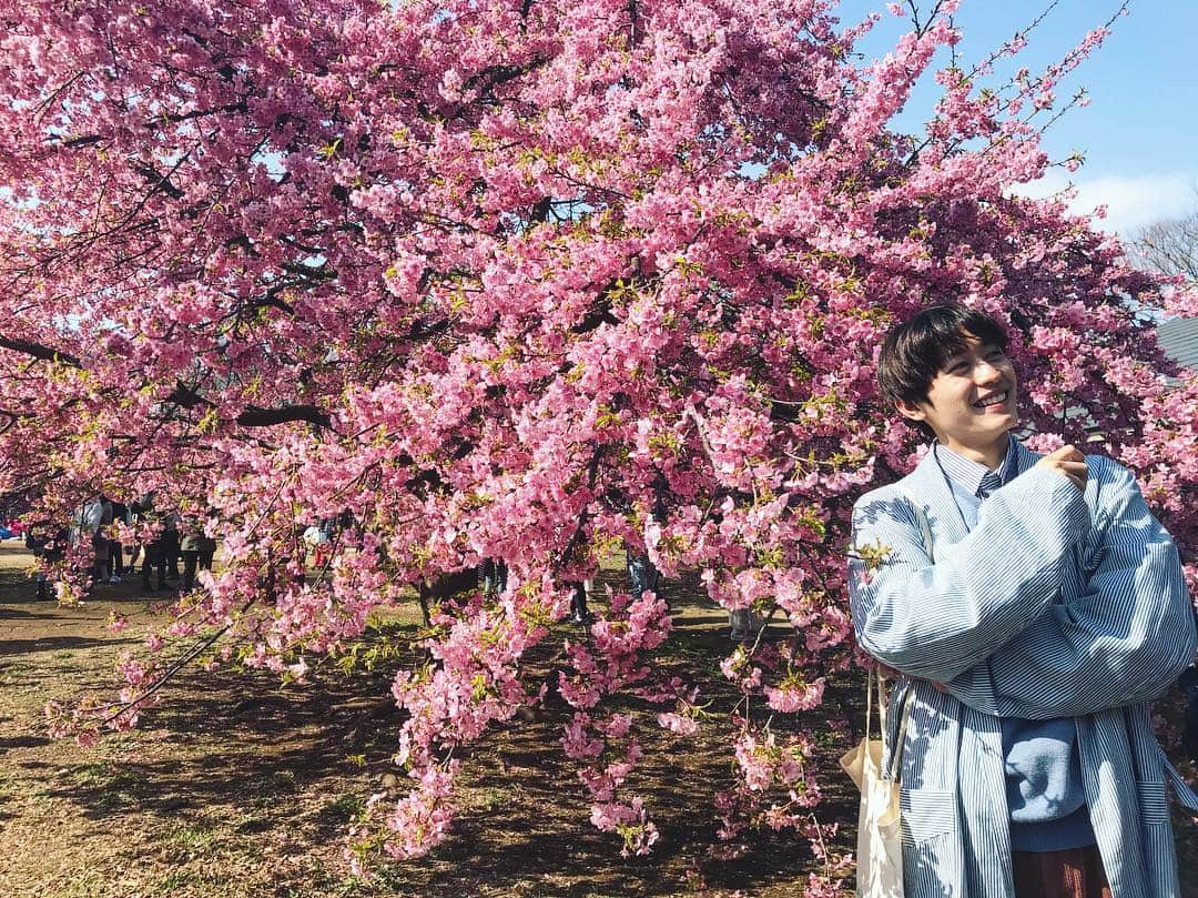 小林亮太さんのインスタグラム写真 - (小林亮太Instagram)「桜はついに満開。 でもこの写真は、少し早めに満開になる桜。 お花見は電車から眺めたり、してます。 春。出会い別れの季節。  お世話になっている、 習い事の先生が 来月から変わっちゃうから、 当分会えなくなると思っていたら、、 稽古前に、まさかの駅でばったりしました、 思わずハグしましたうれしかった。 （ブリティッシュスタイルです）  #cherryblossom 🌸」3月31日 17時11分 - ryota_kobayashi_official