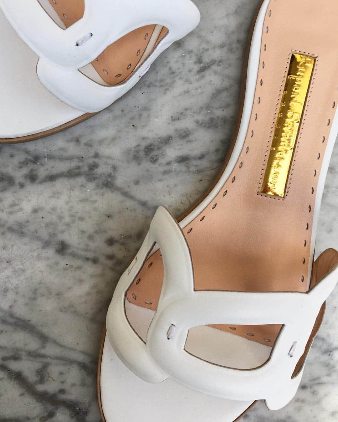 ルパートサンダーソンのインスタグラム：「In detail | The Annabel slides close up | #RupertSanderson #SS19 #Slides #ShoeLove」