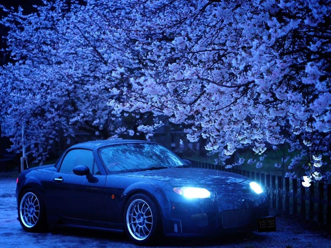fcl.(エフシーエル)さんのインスタグラム写真 - (fcl.(エフシーエル)Instagram)「. 投稿者：myo様 車種：#マツダ #ロードスター  #NCEC 春の雨の夕刻に撮影しました。 桜の立体感と春の雨とライトを主張してみました。 #fcl純正HID交換用バルブ . . .  #エフシーエル #fcl #みんカラ #車のある風景 #カスタムカー #車いじり #愛車 #写真好きな人と繋がりたい #車好き #車好きな人と繋がりたい #車撮影 #車好きと繋がりたい #ファインダー越しの私の世界 #車の写真が好きな人と繋がりたい #mx5 #roadster #mazda #mx5club #roadsterlife #オープンカー #ロードスターのある生活  #マツダロードスター ncロードスター #ロードスターnc #愛車と桜 #桜と車 #夜桜」3月31日 17時30分 - fcl_ledhid
