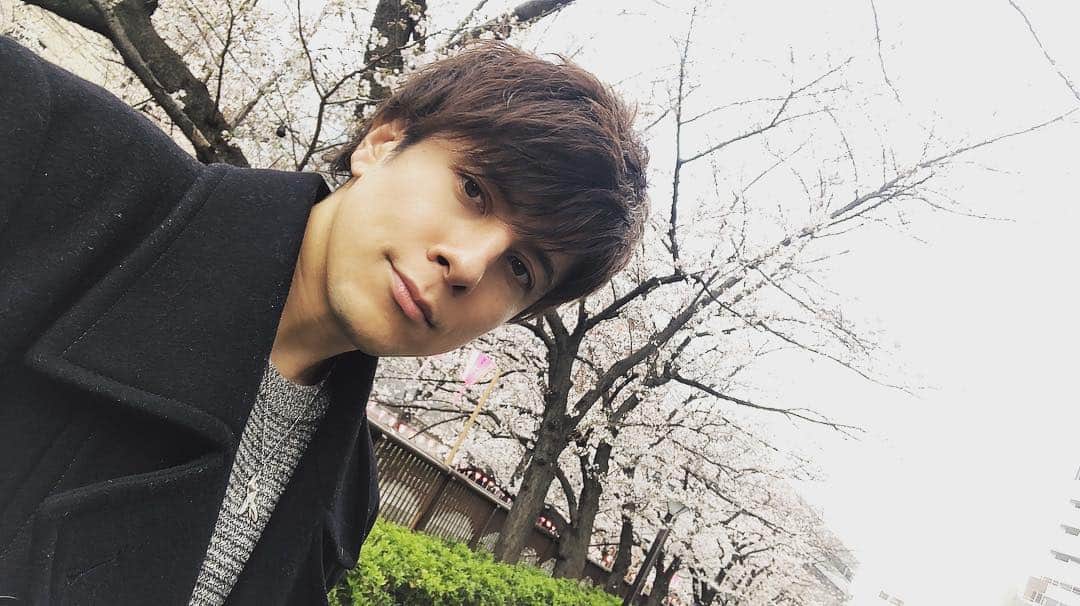 城田純さんのインスタグラム写真 - (城田純Instagram)「#桜」3月31日 17時32分 - junbopeace
