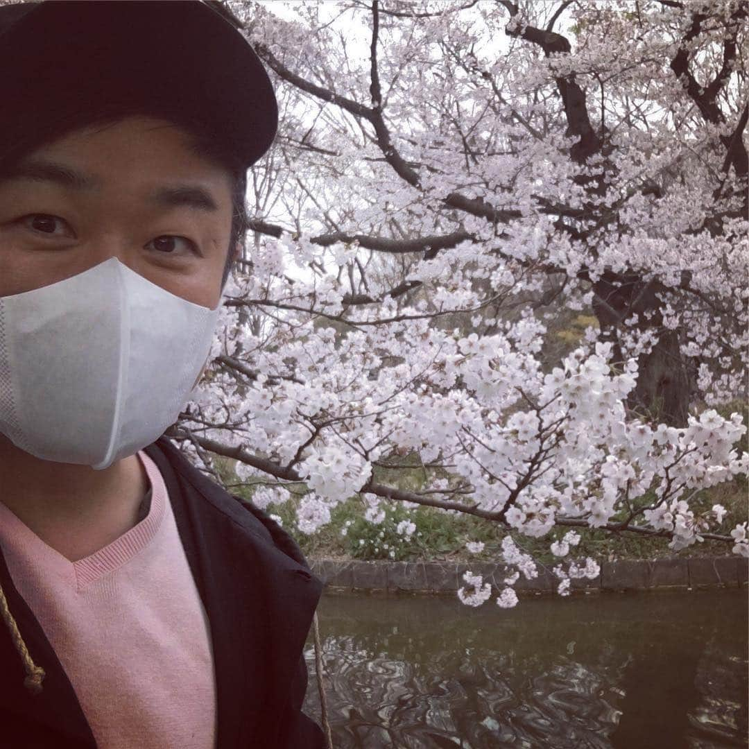 中倉隆道さんのインスタグラム写真 - (中倉隆道Instagram)「. 桜ロケ🌸 . 合間にパシャリ♬ . . なんか今年は色が白い気がするー☺️ . . お花見楽しそー😋🍺 . . #お花見 #桜 #ロケ #フリーアナウンサー #中倉隆道 #柿ピー研究家 #アニメ研究家」3月31日 17時57分 - ryudo.tokyo