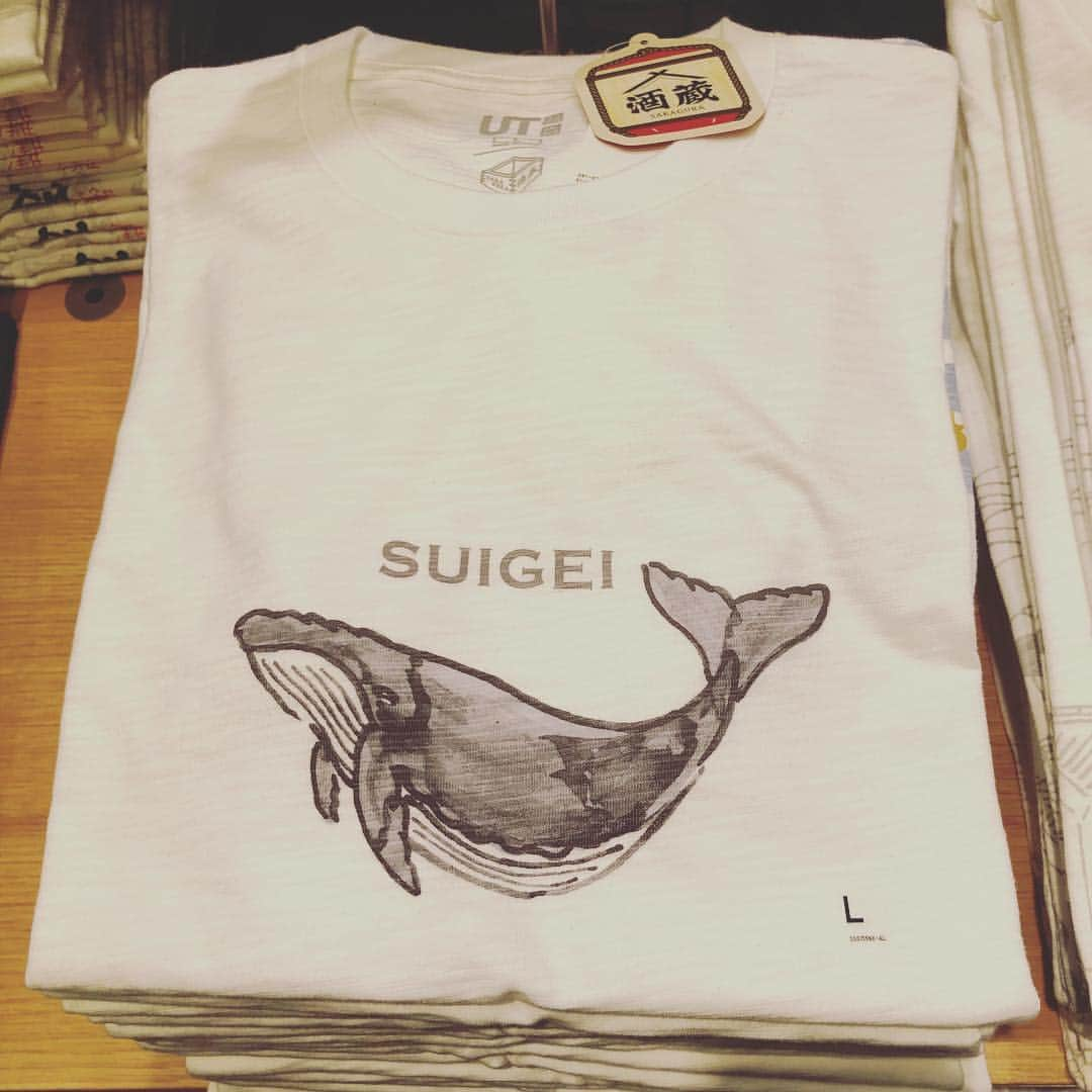 あべこうじさんのインスタグラム写真 - (あべこうじInstagram)「ㅤㅤㅤㅤㅤㅤㅤㅤㅤㅤㅤㅤㅤ 酔鯨Ｔシャツwww ㅤㅤㅤㅤㅤㅤㅤㅤㅤㅤㅤㅤㅤ #酒造Ｔシャツ #ユニクロ #UNIQLO #ハッピィ #酔鯨 #高知 #うまま」3月31日 17時57分 - abe_happy