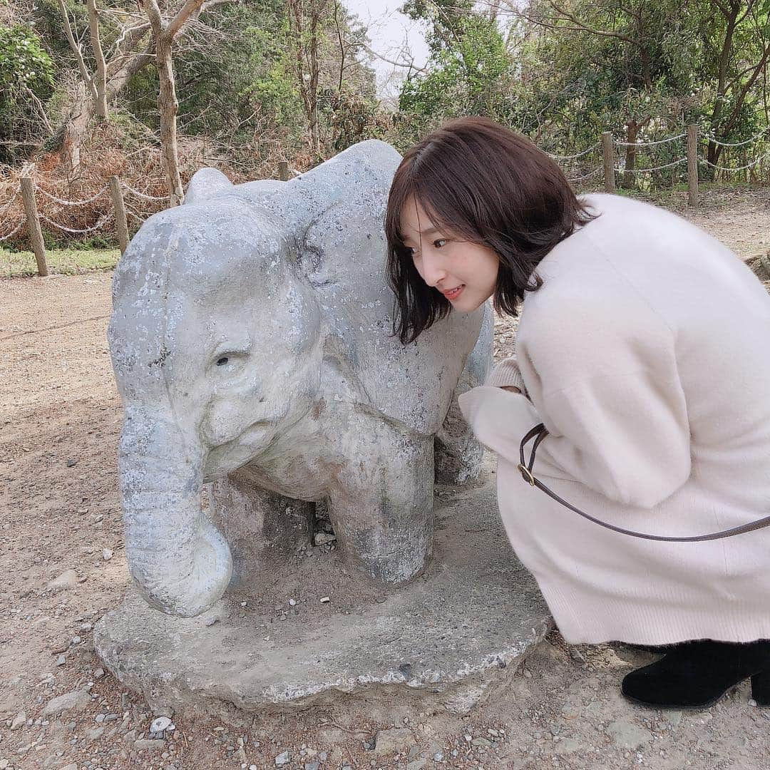 葉月さんのインスタグラム写真 - (葉月Instagram)「ㅤㅤㅤㅤㅤㅤㅤㅤㅤㅤㅤㅤㅤ ▽2019.03.19. どうぶつえん、ぞうさんしりーず。」3月31日 18時00分 - hazu1121