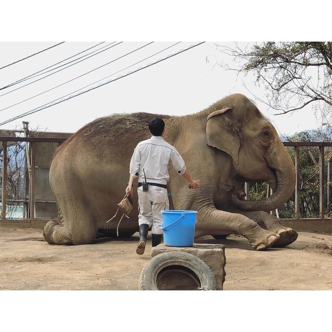 葉月のグルメインスタ