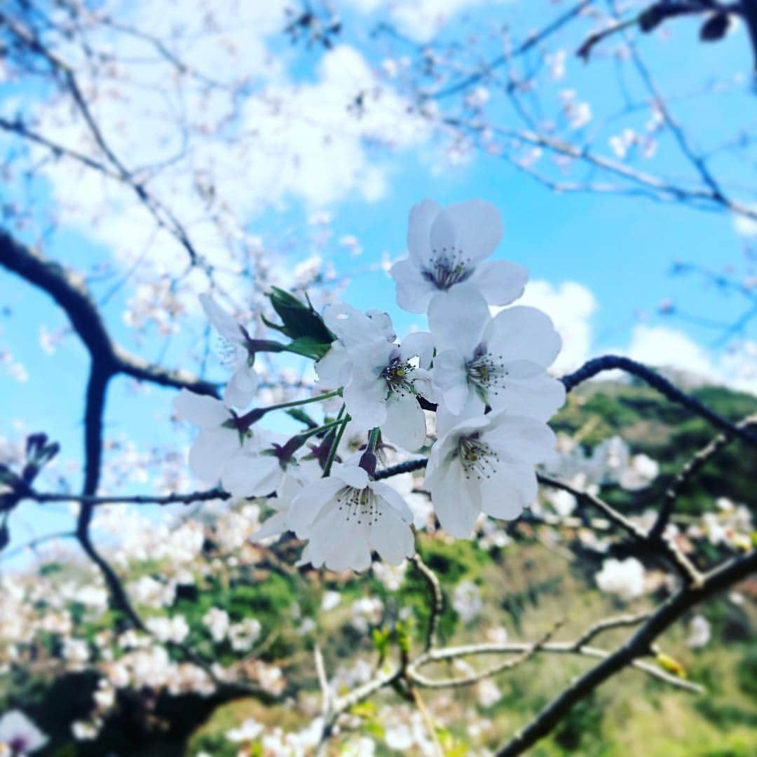 板谷由夏 さんのインスタグラム写真 - (板谷由夏 Instagram)「あ、そうだ、平成、終わるんだった。」3月31日 18時09分 - yukaitaya
