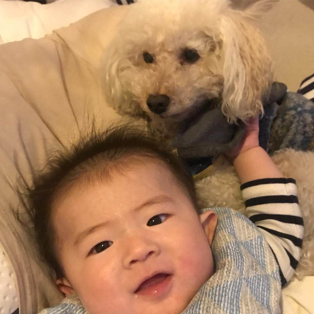 sioneのインスタグラム：「胸ぐら掴まれても耐えてくれるお兄ちゃん偉い。」