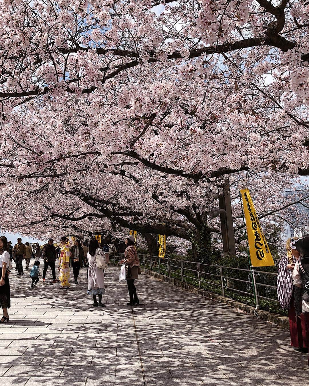 梯真奈美さんのインスタグラム写真 - (梯真奈美Instagram)「東京に帰る前に舞鶴公園にお花見に行ったよ🌸🍡 桜がとっても綺麗ー！！！✨ 出店とかイベントもやってて、その空間にいるだけで楽しかったな〜🥰 春になるといつも、日本って素敵だなぁって思う‥♡ #お花見 #舞鶴公園 #福岡 #fukuoka #fashion #spring #eimy #eimyistoire」3月31日 18時15分 - official_manami
