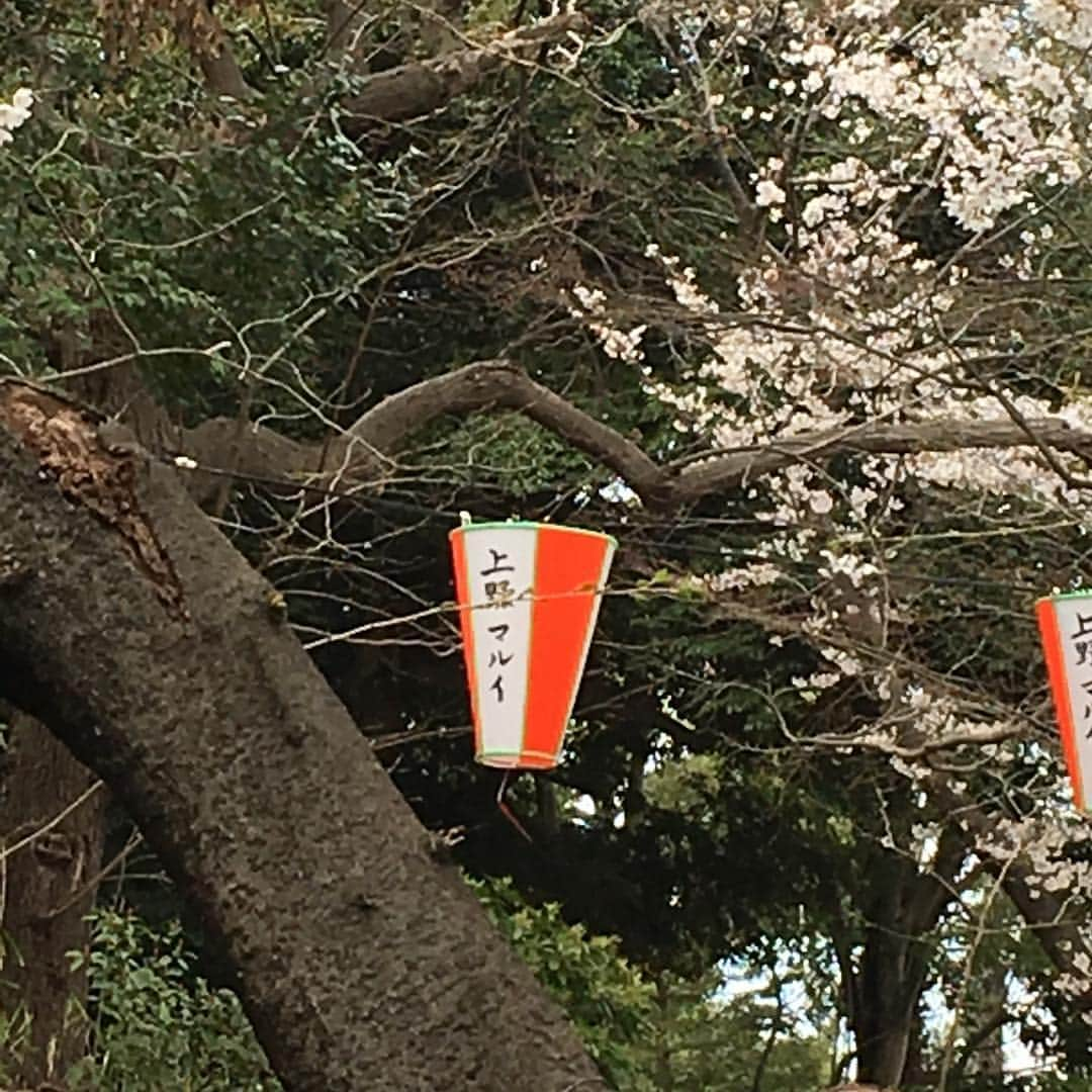 いとうせいこうさんのインスタグラム写真 - (いとうせいこうInstagram)「【ヘタ字コレクション】上野公園で桜よりヘタ字収集に夢中になり、『奇想の系譜』展へ。インパクト系の日本画を見て快適な刺激を受け、書き仕事へ。」3月31日 18時31分 - seikoito