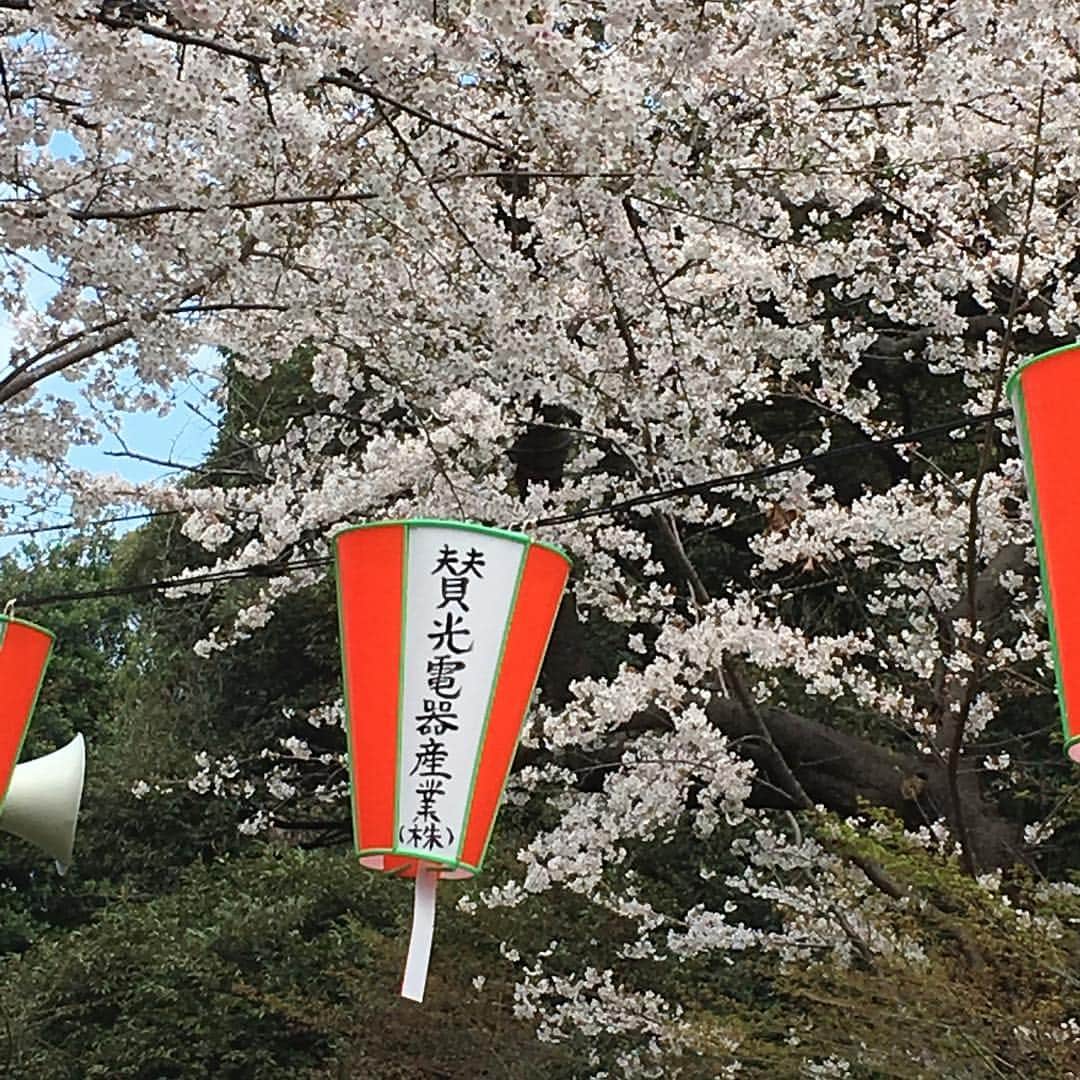 いとうせいこうさんのインスタグラム写真 - (いとうせいこうInstagram)「【ヘタ字コレクション】上野公園で桜よりヘタ字収集に夢中になり、『奇想の系譜』展へ。インパクト系の日本画を見て快適な刺激を受け、書き仕事へ。」3月31日 18時31分 - seikoito