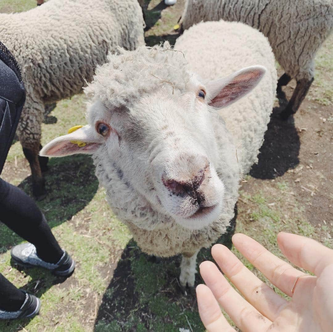 谷奥えまさんのインスタグラム写真 - (谷奥えまInstagram)「ずっと行ってみたかったマザー牧場へ🐄  緑いっぱいでとぉ〜ってもリフレッシュできました🍃」3月31日 18時55分 - ematanioku