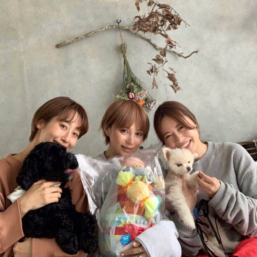 長谷川あやさんのインスタグラム写真 - (長谷川あやInstagram)「👧👩👱‍♀️ #dog #happy #安産祈願 ・ ・ ・ #おやじ会 with コド&シロ 🐶💓 ・ すごいタイミングであらわれた おむつケーキにびっくり👀💛笑 赤ちゃんグッズのキャラクター 眺めてるだけで涙でてくるくらい 最近涙腺がゆるゆるです😂🙌 ・ 2人ともありがとう😋かーちゃんがんばる😋 ・ 20年後4人で乾杯できる日を 楽しみにしているっっ👏(´∀｀)🍻」3月31日 18時52分 - ayasuke_0516