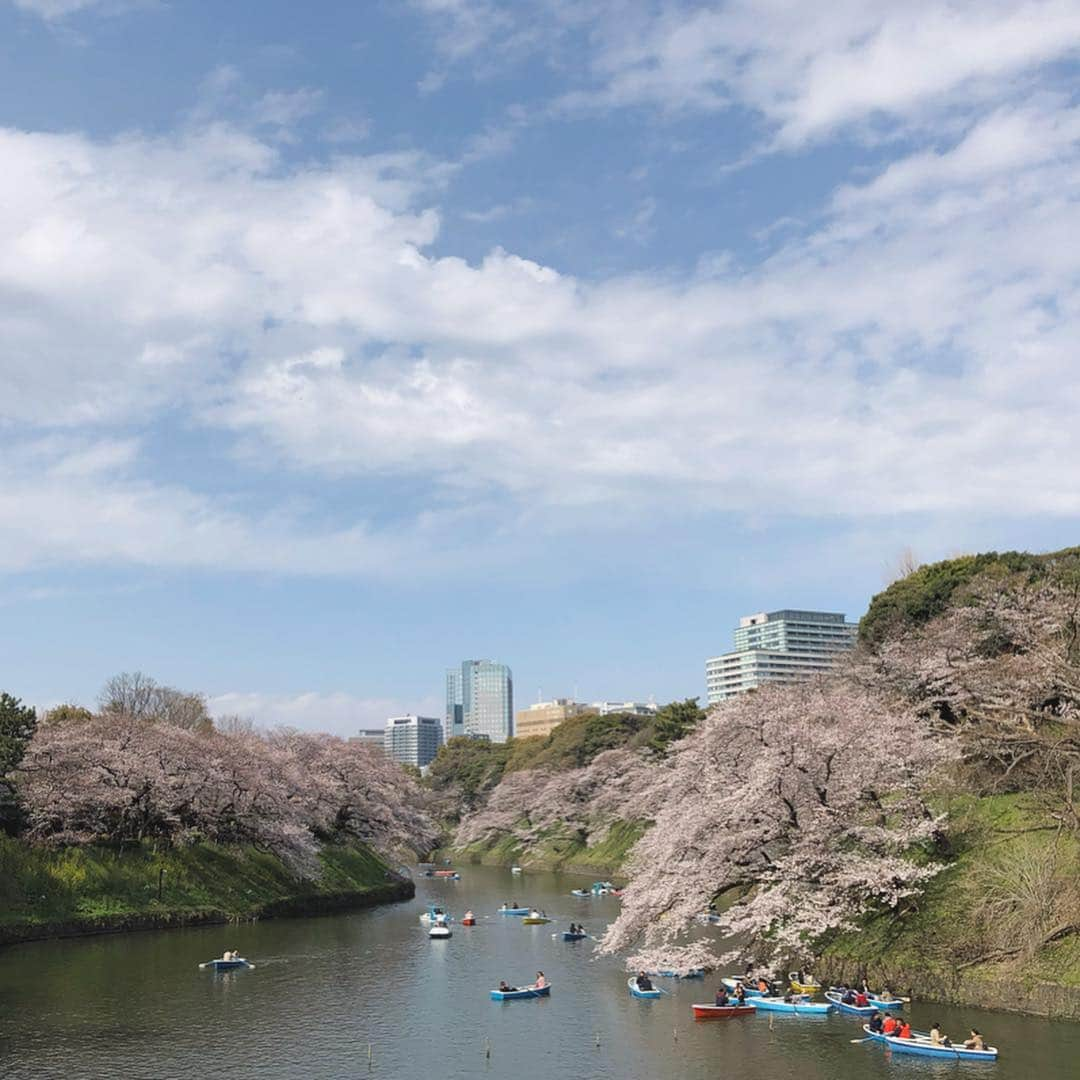 森本奈緒さんのインスタグラム写真 - (森本奈緒Instagram)「めいっぱい春だった今日！うれしいな〜🌸 #桜#菜の花#さくらさんぽ #naoodekake #千鳥ヶ淵#dadacubic」3月31日 18時58分 - naomorimoto