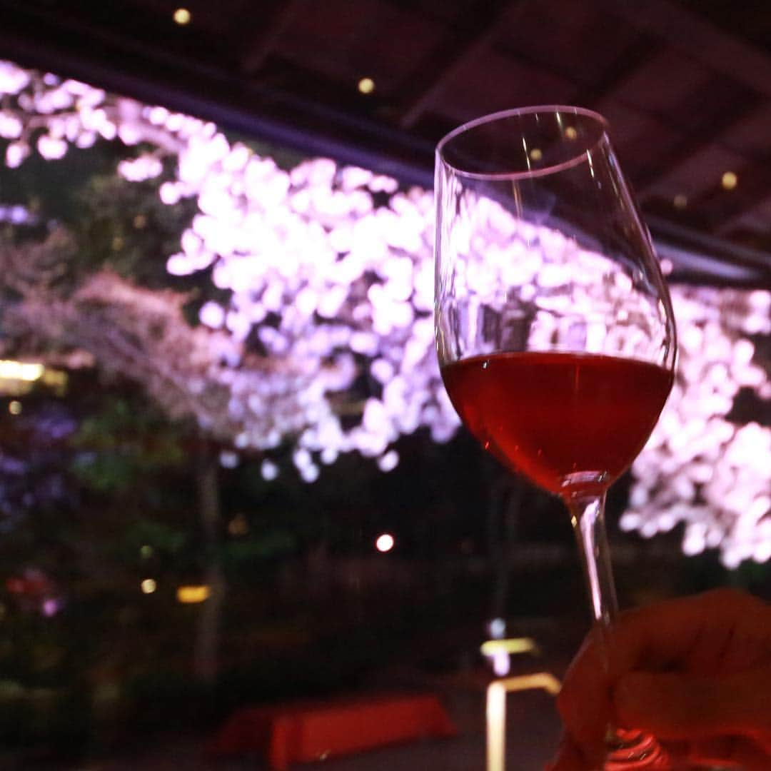 八芳園さんのインスタグラム写真 - (八芳園Instagram)「【夜桜見物】  花冷えの日が続いているお陰で 染井吉野が長く咲いている今年の春。 まだまだ夜桜も愉しむ事ができそうです。  本日もライトアップが始まり レストランでは多くのお客様が お花見とお食事で、ゆったりと 過ごしていらっしゃいます。  自然栽培や提携農家の野菜が 美味しい八芳園内の2つのレストラン スラッシュカフェ、ENJYUでは 店内から夜桜を見ながらの乾杯用に 国産のワインも用意しています。  平成最後のお花見に 樹齢200年を越す染井吉野を見る、 そんな「粋」なひと時を お届けしています。  吹ぶけよ、桜。 吹ぶけよ、人。 ［八芳園Spring Festival 2019 粋］ http://www.happo-en.com/event/springfestival2019/  #桜イベント #桜ライトアップ #夜桜 #夜桜デート #夜桜撮影 #夜桜ライトアップ #粋 #ワイン #カフェ #カフェ巡り #カフェ好き #カフェご飯 #自然栽培 #オーガニック #国産ワイン #ヴァンナチュール #東京 #白金台 #happoen #tokyo #wine」3月31日 19時13分 - happoen