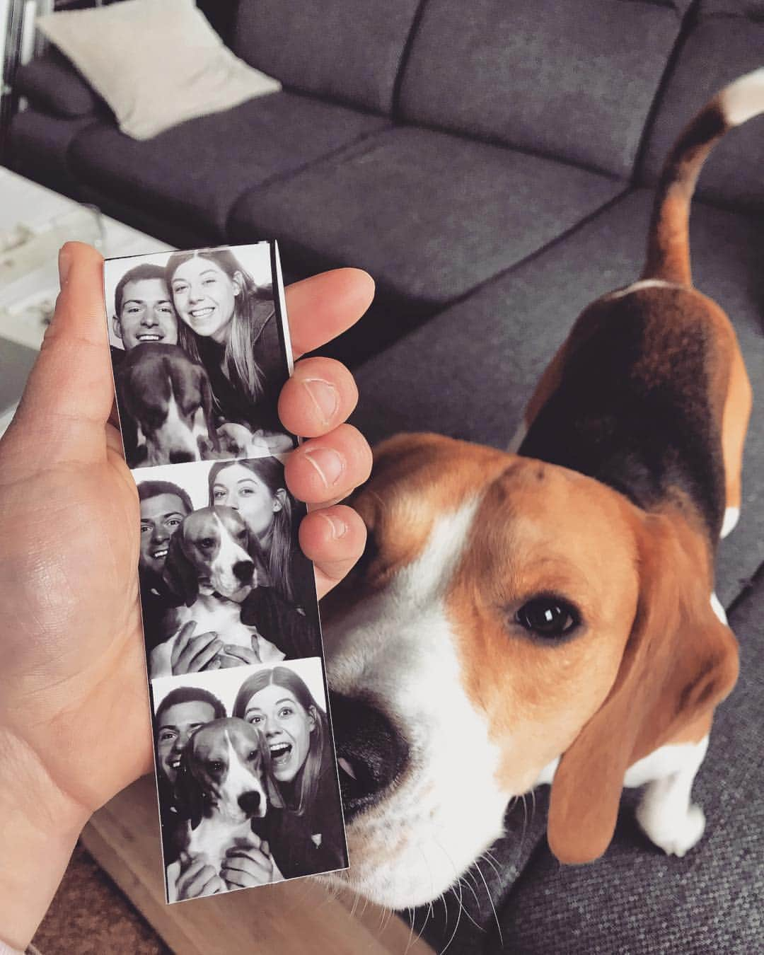 ミリアム・ツィーグラーのインスタグラム：「🐶❤️」