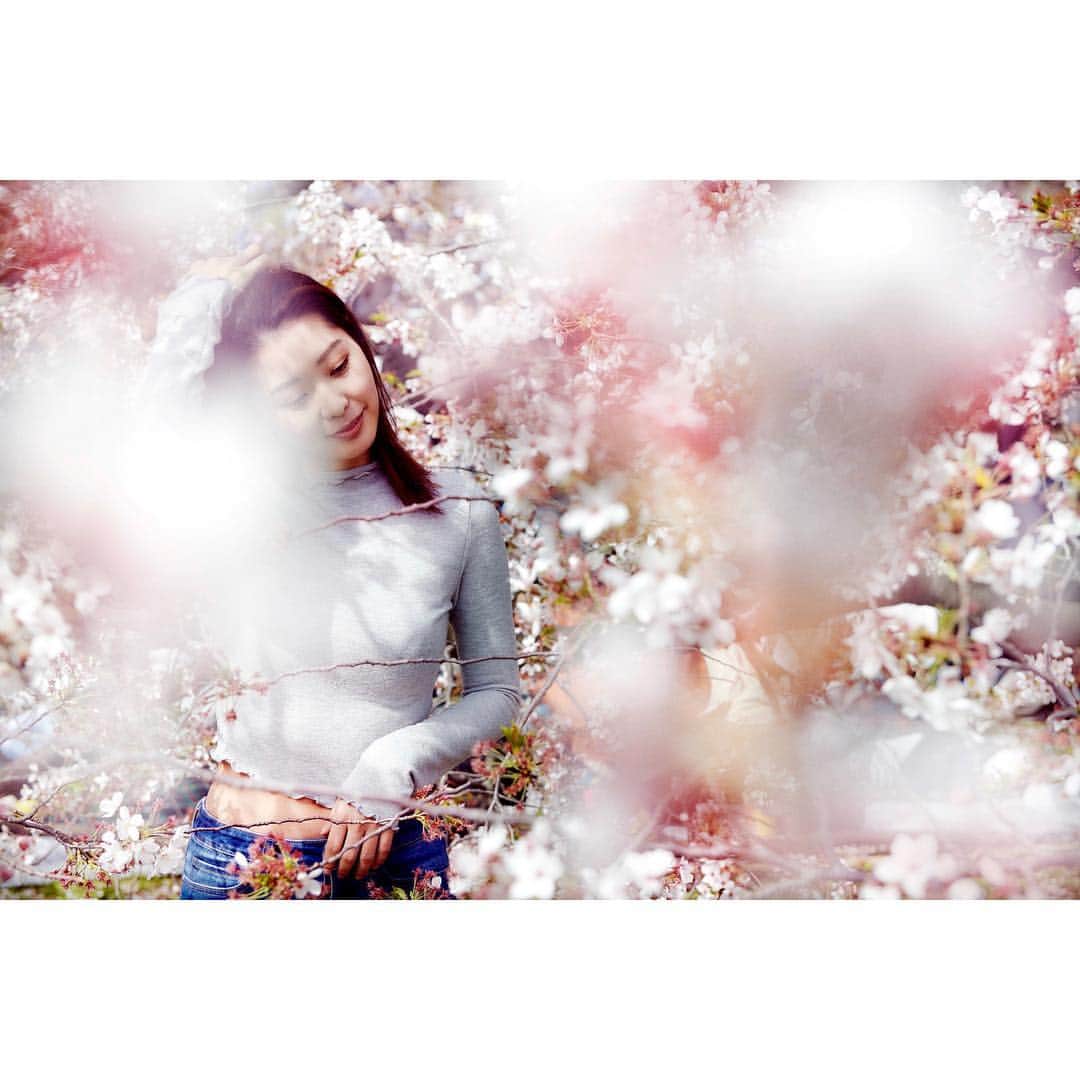 福山智可子のインスタグラム：「Hello Spring 🌸 . #cherryblossom」