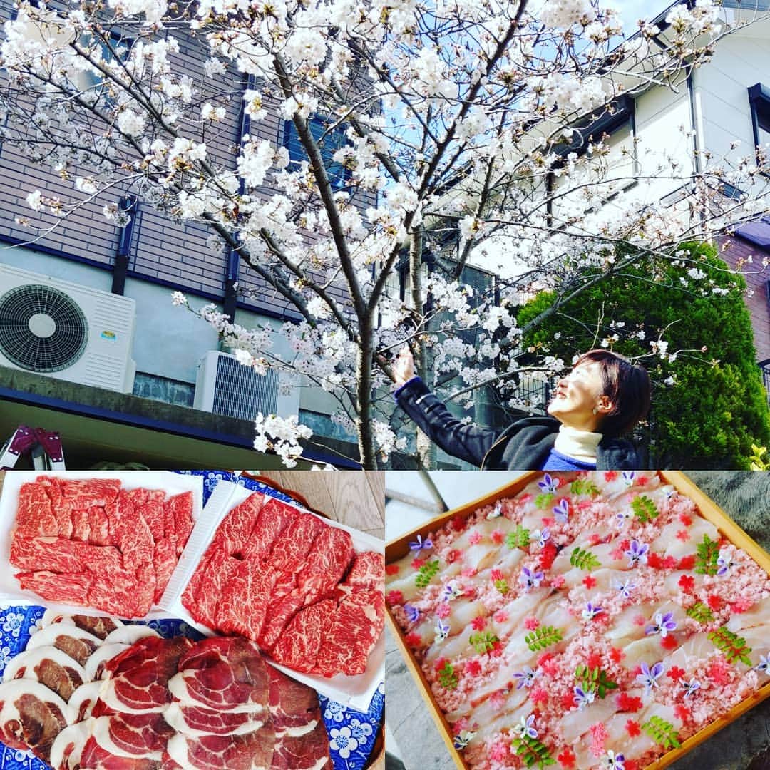 池尻和佳子さんのインスタグラム写真 - (池尻和佳子Instagram)「安定の居心地😌友人宅でお花見🌸🍶🌸 三溝清美先生の鯛のお寿司も華やかでした‼️‼️ 来年も、また皆で桜を愛でたいものです♥️ #花見 #鯛 #桜 #寿司 #バーベキュー」3月31日 21時01分 - wakako_ikejiri_rkb