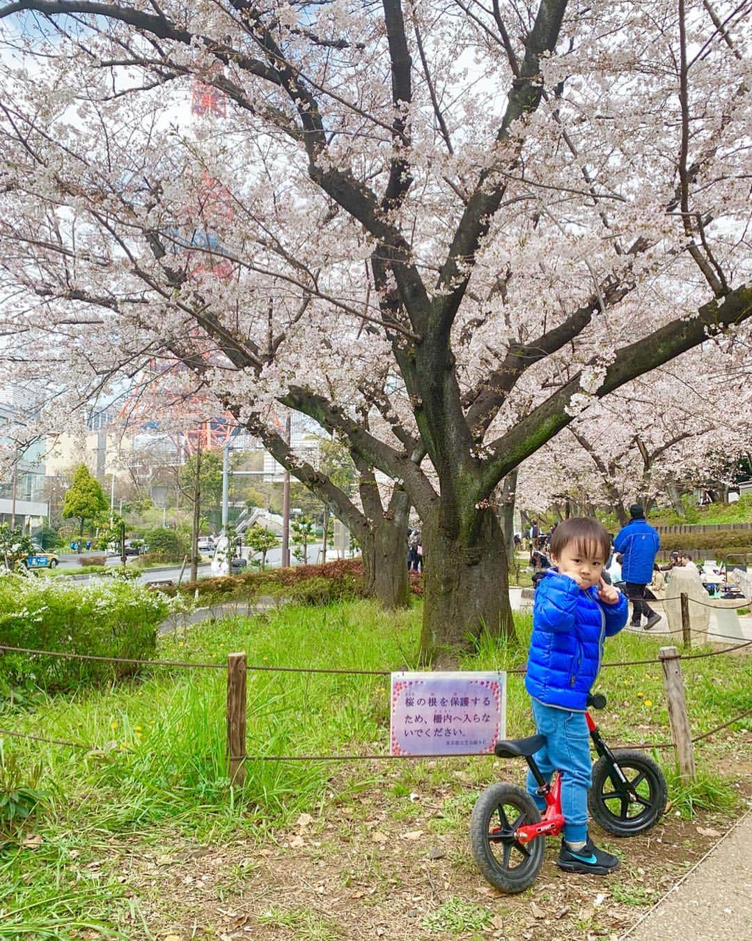 桜井未来さんのインスタグラム写真 - (桜井未来Instagram)「息子はパパの同窓会前半に一緒に行っちゃったので... @ma_mi_15 ちゃんと息子くんとお花見😊🌸 ・ ・ ・  #花見 #お花見 #桜 #sakura #kimono #芝公園  #ママ #男の子ママ #子育て #成長記録 #baby #ママ友募集 #赤ちゃんのいる生活 #ママサークル #ママイベント #ママ会 #都内ママ #ベビスタグラム #mamagirl #ベビフル #コドモダカラ #コドモノ #ママリ #親バカ部 #新米ママ東京部」3月31日 21時08分 - miki.sakurai0214