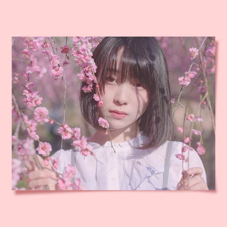 「SNOW」顔認識カメラアプリのインスタグラム