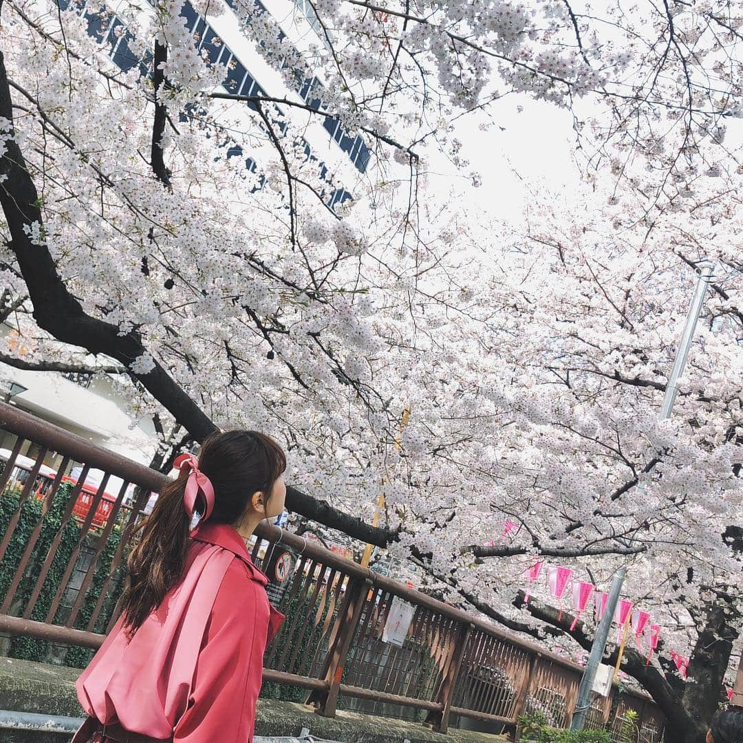 村田倫子さんのインスタグラム写真 - (村田倫子Instagram)「桜。 みなさまお花見しましたか？ 私は今日、むぎ🐕とお散歩して少し桜見てきました。 写真は去年の中目黒。 この日は満開だったなあ🌸 . 東京マラソンにはじまり、色々と地方に赴いたり、TGCを歩かせていただいたり 駆け抜けた３月だったなあ、、、 (あっとゆーますぎる) . 平成があと少しでおわってしまうのは、寂しいけれど いつもより新しい変化と予感に満ちてる春も たのしみです☺︎ とりあえず美味しいもの食べたい。笑」3月31日 21時16分 - rinco1023